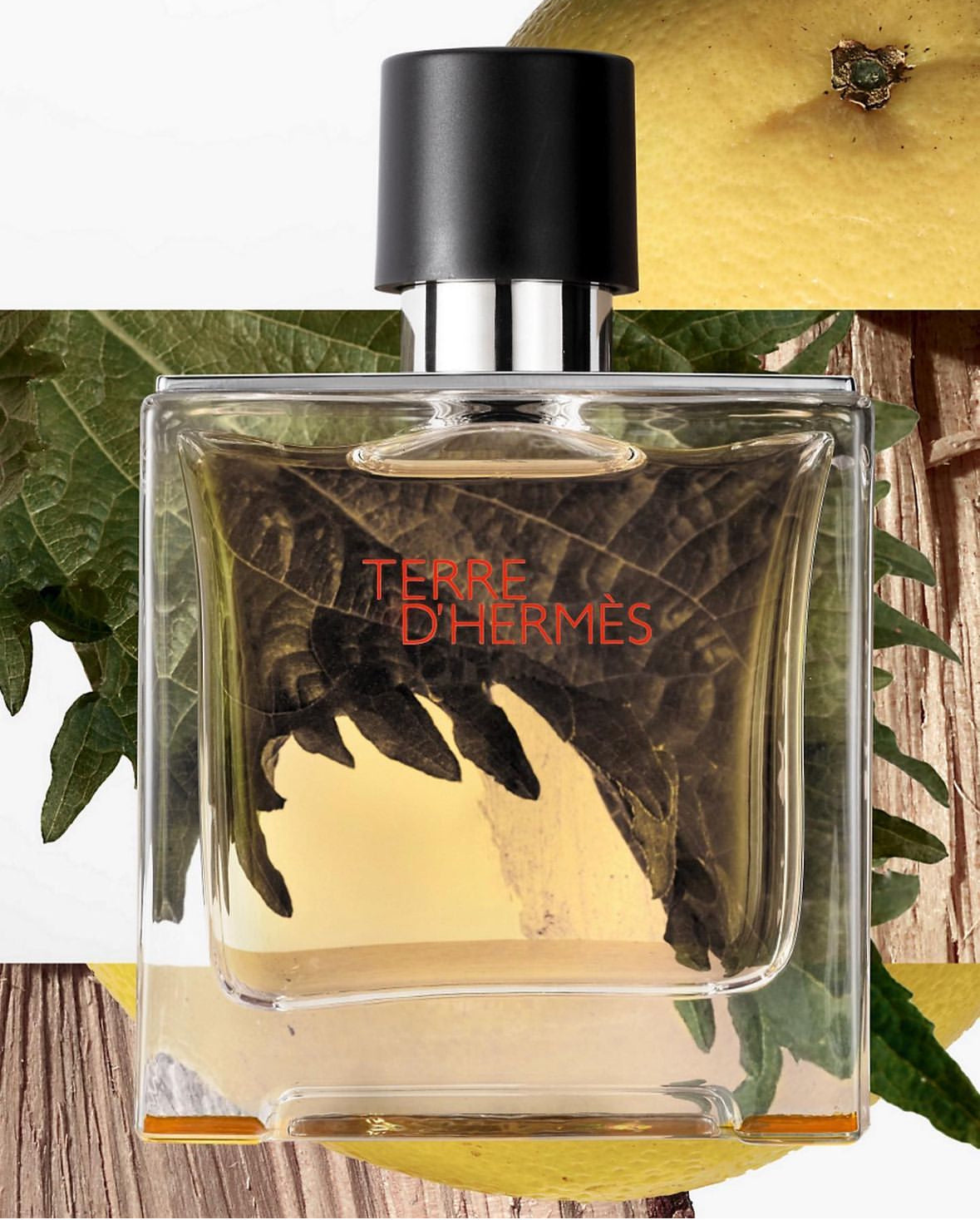 Hermes Terre D'Hermes Eau Givree Eau De Parfum (100ml)