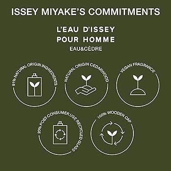 Issey Miyake L'Eau D'Issey Eau De Toilette For Men